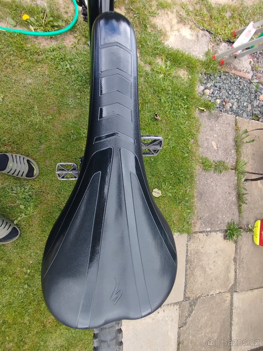 Specialized status 2013 - 8