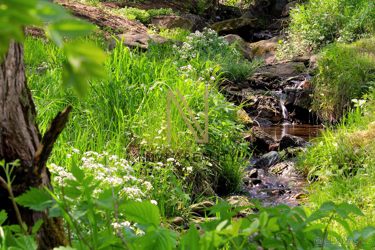Prodej, pozemek, 3 411m², Nezdice na Šumavě, okres Klatovy – - 8