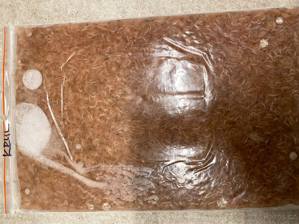 Artemie, discus mix, koretra, dafnie, mysis, hovězí srdce, - 8