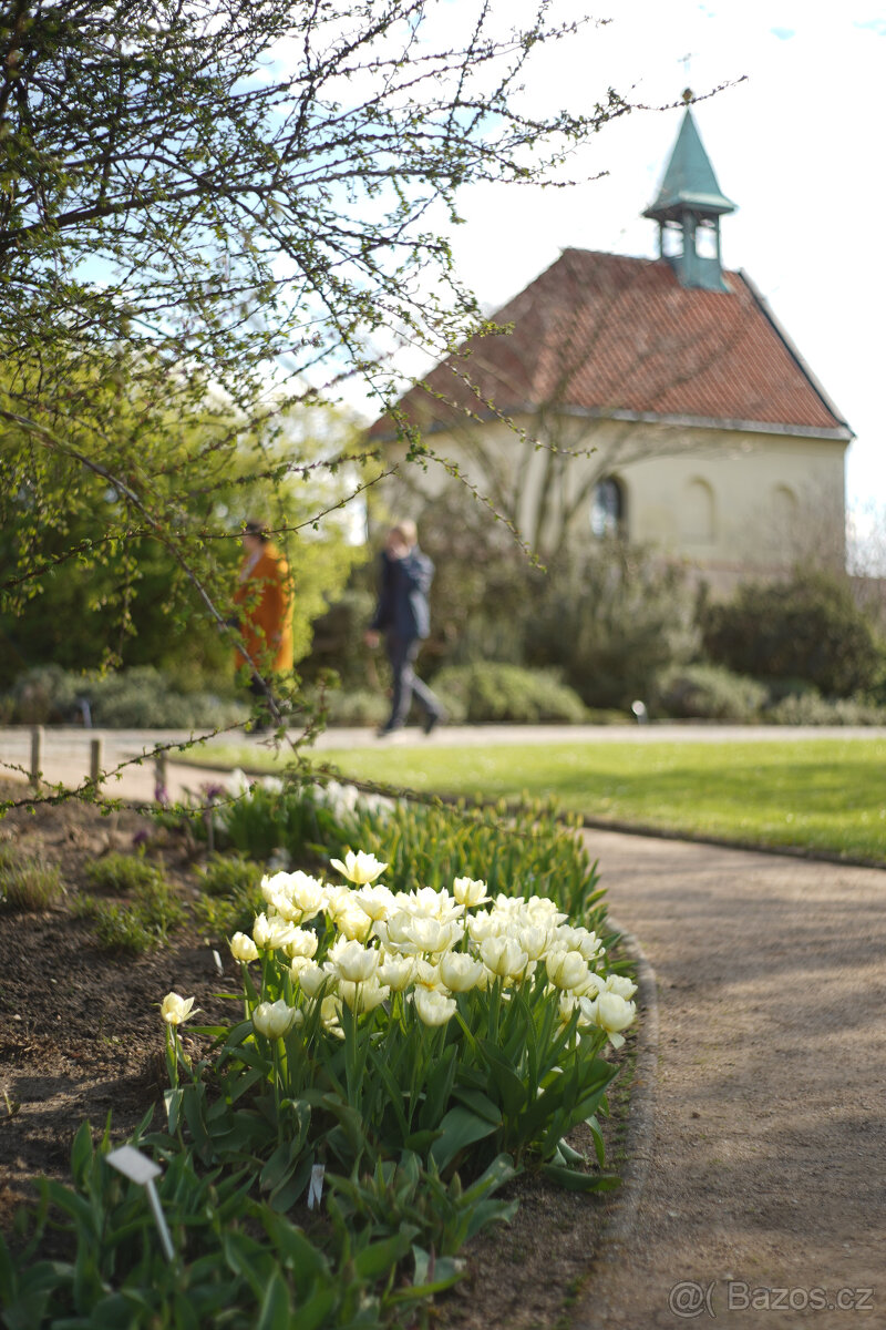 Objektiv Auto Takumar Asahi Optics 55mm f/2 - 8