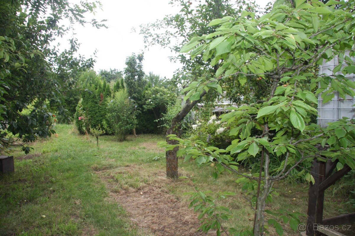 Prodej zahrady s chatou v Čáslavi - 8