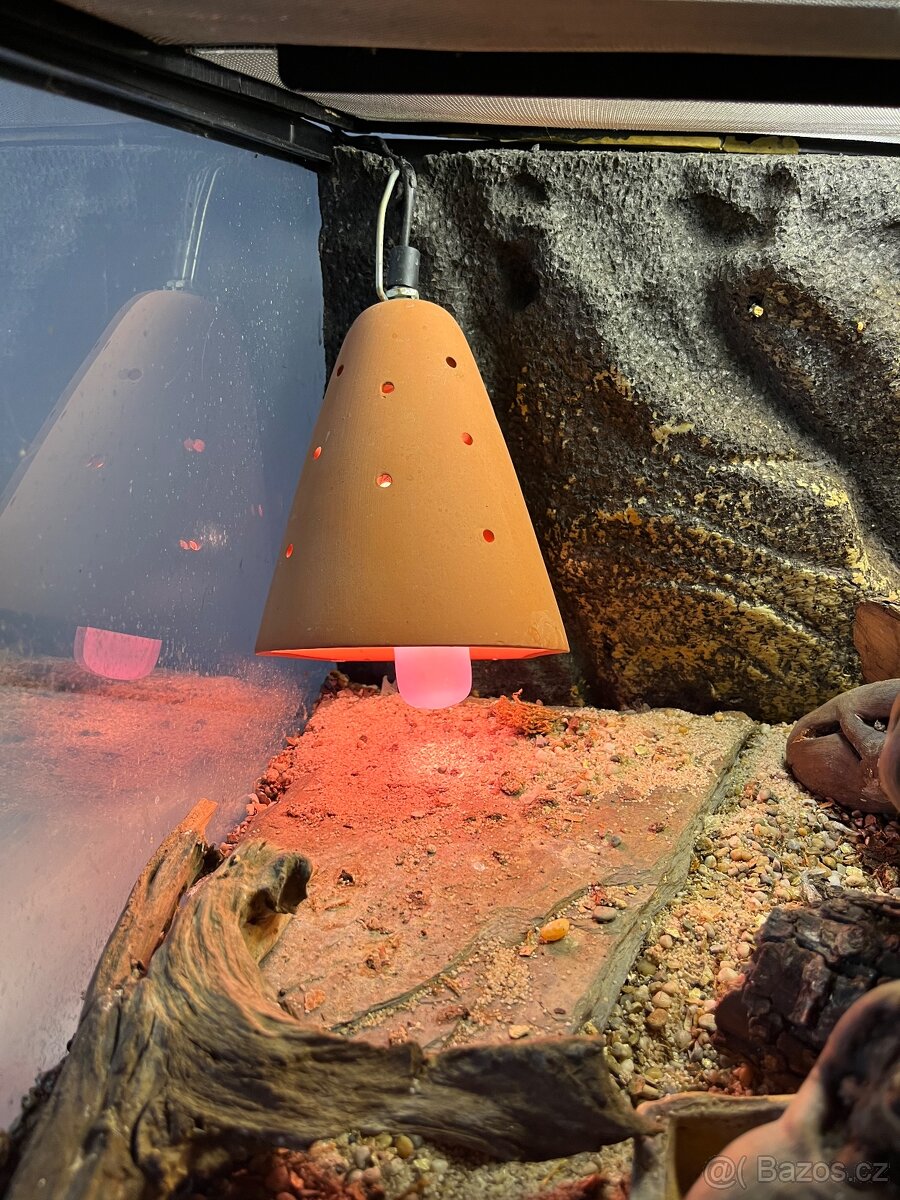 Terarium, terarko vcetne oscetleni - 8