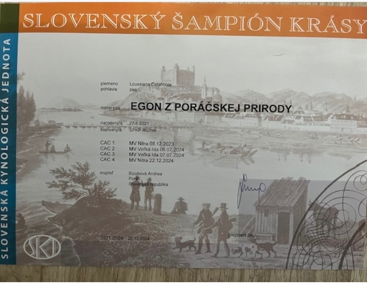 Louisiansky leopardí pes - šteniatka s PP - 8