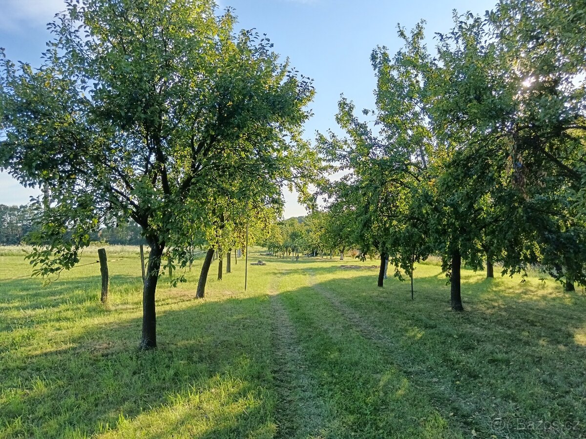 🏡 Prodej zahrady 1026 m² se zahradním domkem a studnou - 8