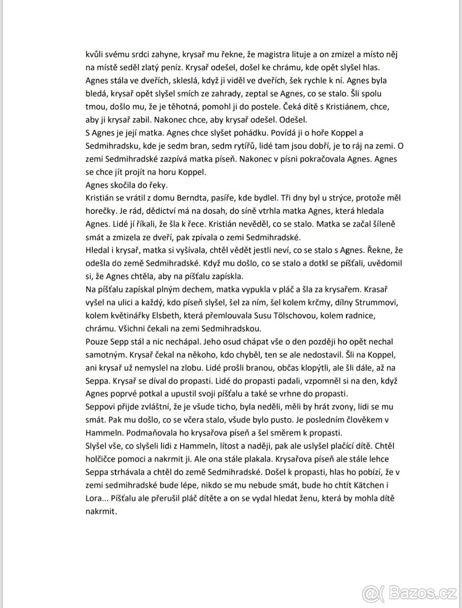 Rozbory maturitní četby - 8