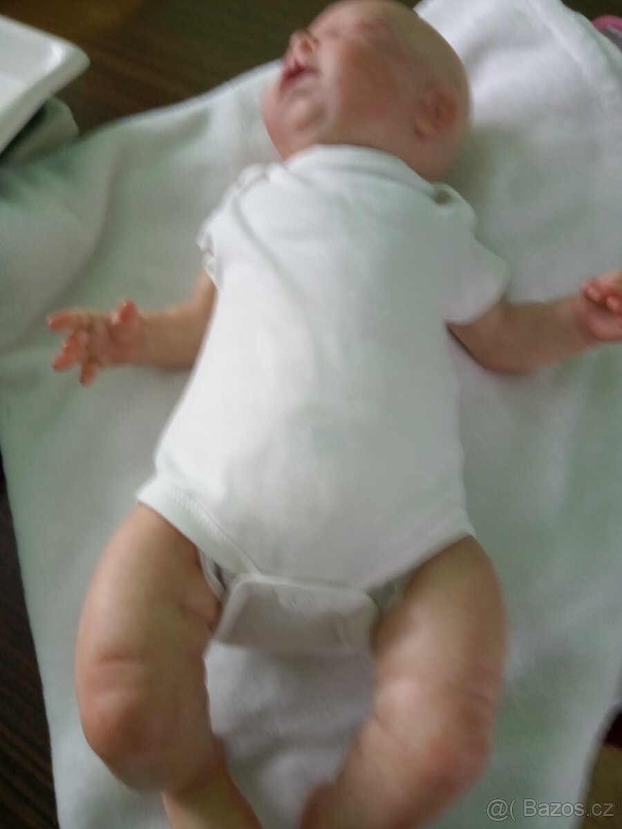 Prodám reborn panenku - 8