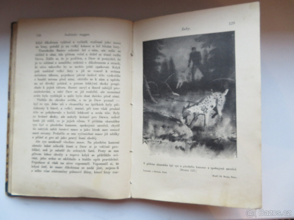 DOBRODRUŽNÉ, INDIÁNŮV NUGGET 1939, il.BURIAN - 8