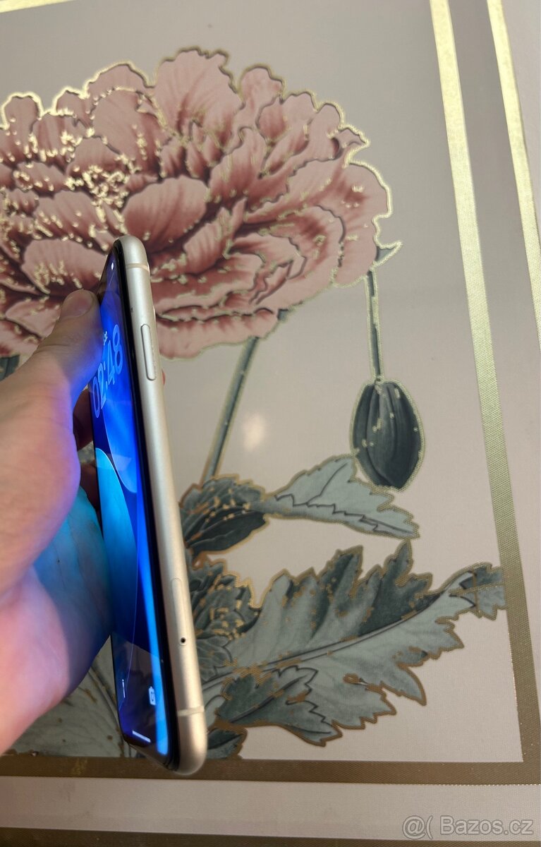 IPhone 11 (256gb) - 8