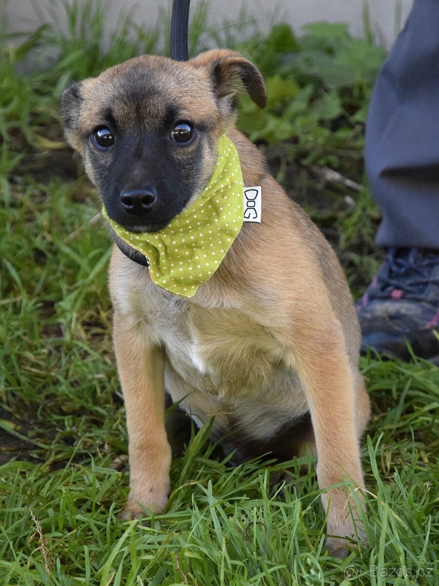 Samko hledá domov - 8