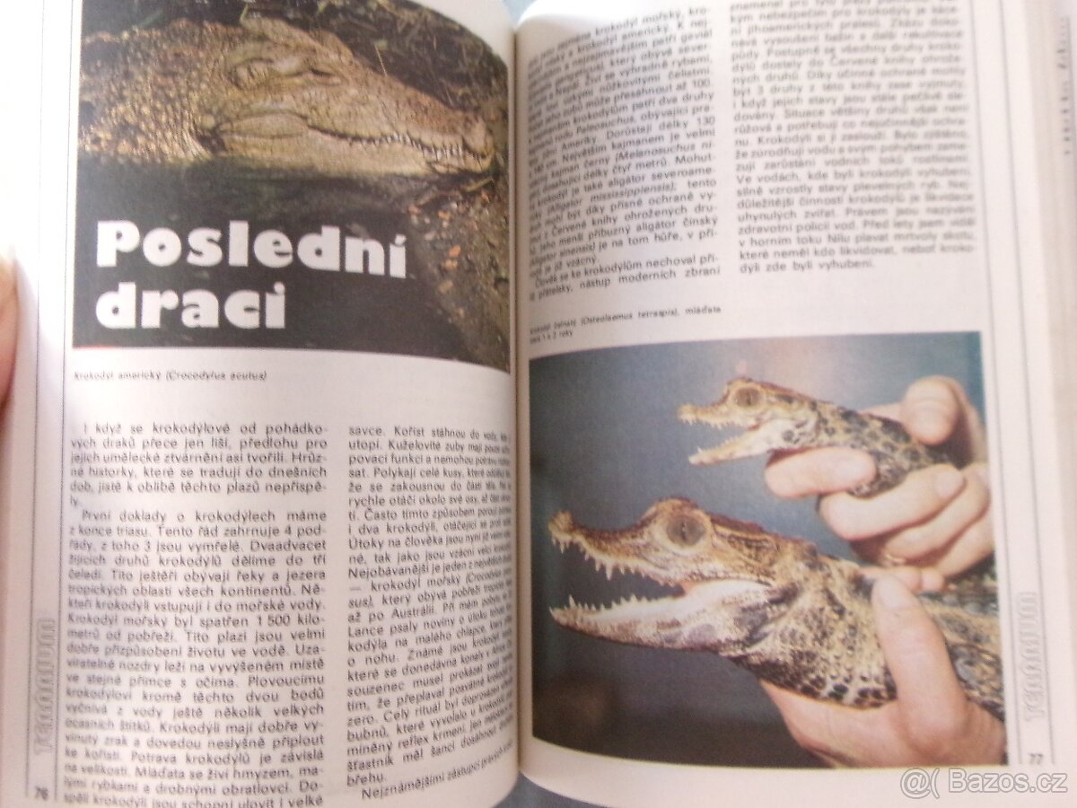 Magazín Akvárium terárium. - 8