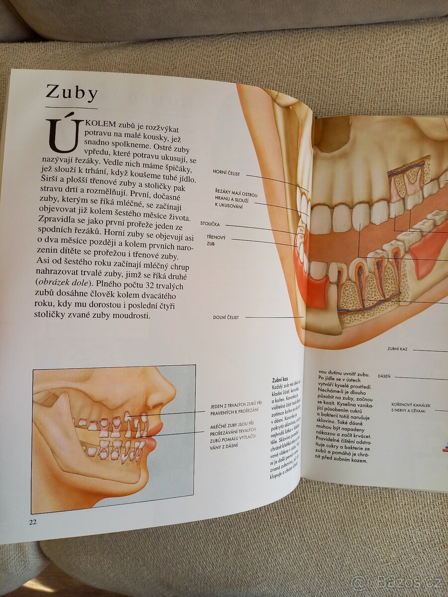 Člověk a jeho tělo - 8