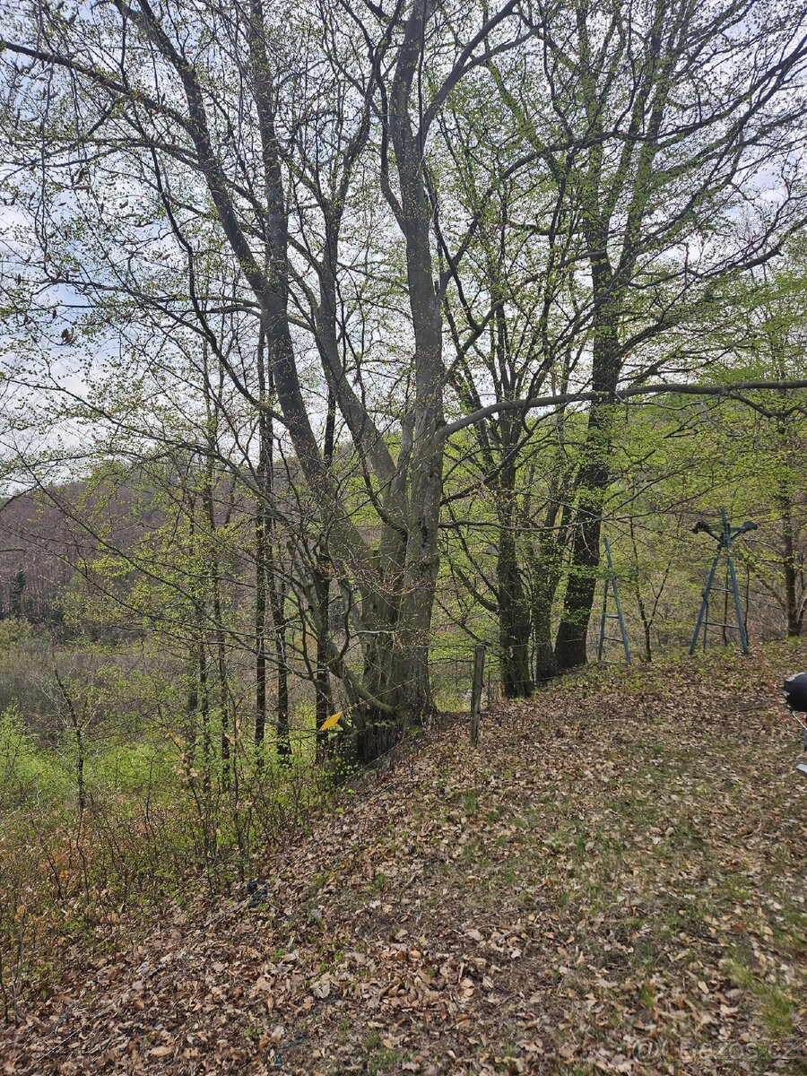 Lesní pozemek - 8