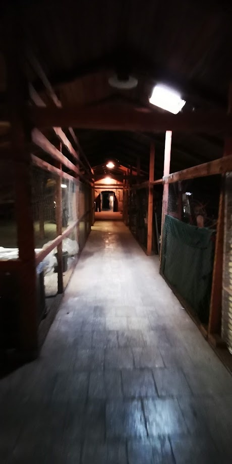 PRONAJMEME skladové koje 20-30m2 - 8