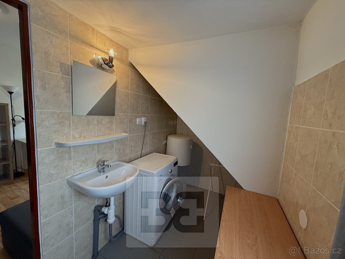 Pronájem bytu 1+kk 21 m², Praha - Řepy, ev.č. N08649 - 8