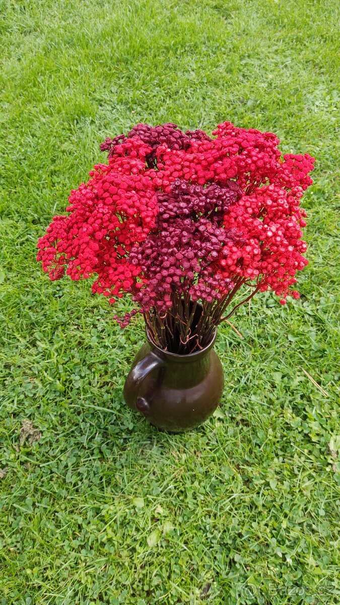 Barvená sušina - 8