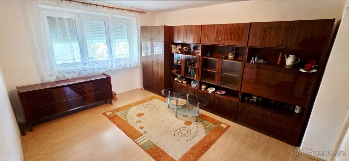 Prodej bytu 2+1 v Břeclavi ul. Bří. Mrštíků - 8