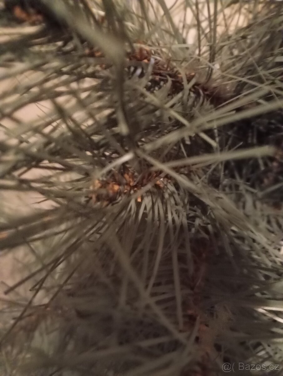 nový vánoční stromek 100cm - 8