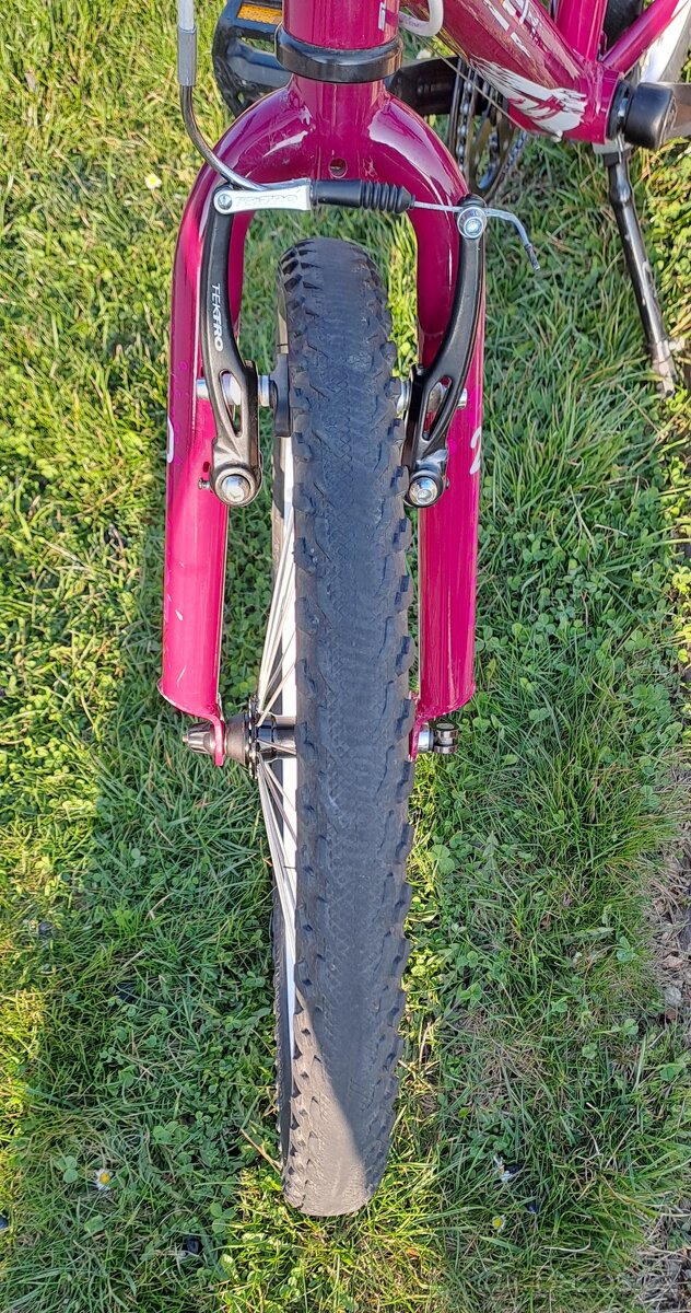 Superior Paint 20"- PĚKNÉ - 8