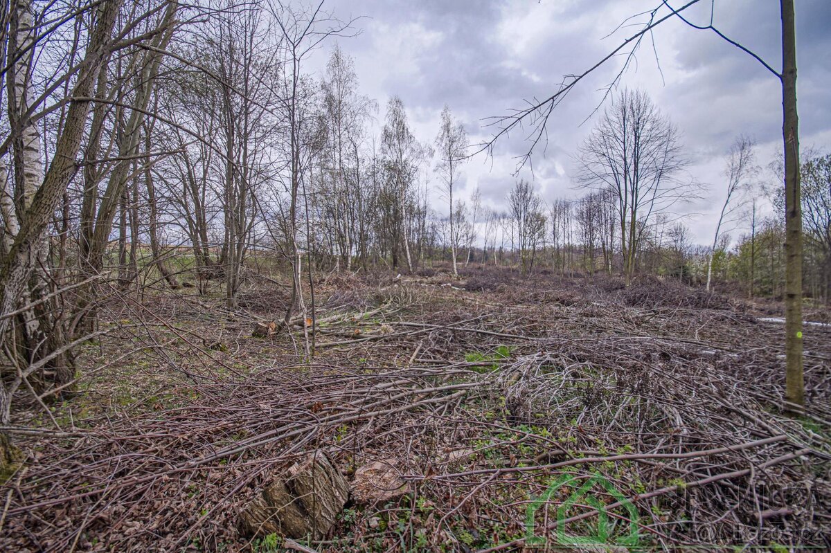 Prodej pozemku v obci Terezín u Mikulovic - 8