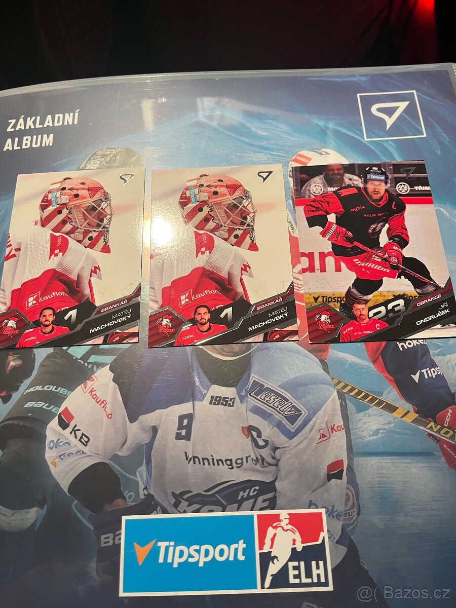 Hokejové kartičky - 8