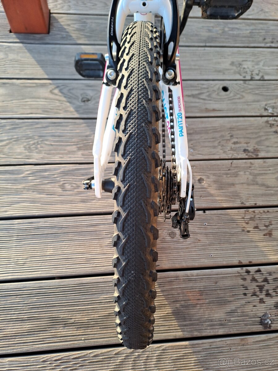 Superior Paint 20"- PĚKNÉ - 8