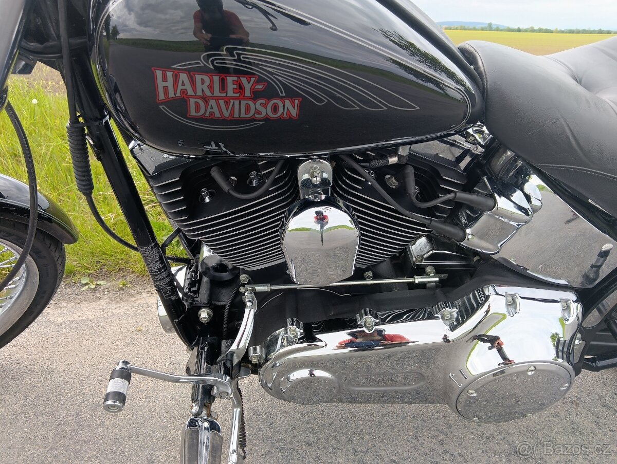 HARLEY DAVIDSON FXSTC softail custom - 8