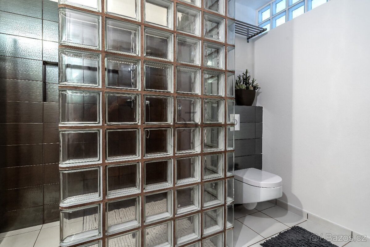 Pronájem 2kk, 50m2, předzahrádka, Praha - Čimice - 8