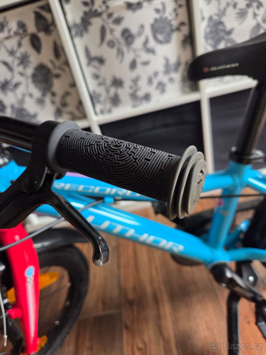 Author record 16 - 8