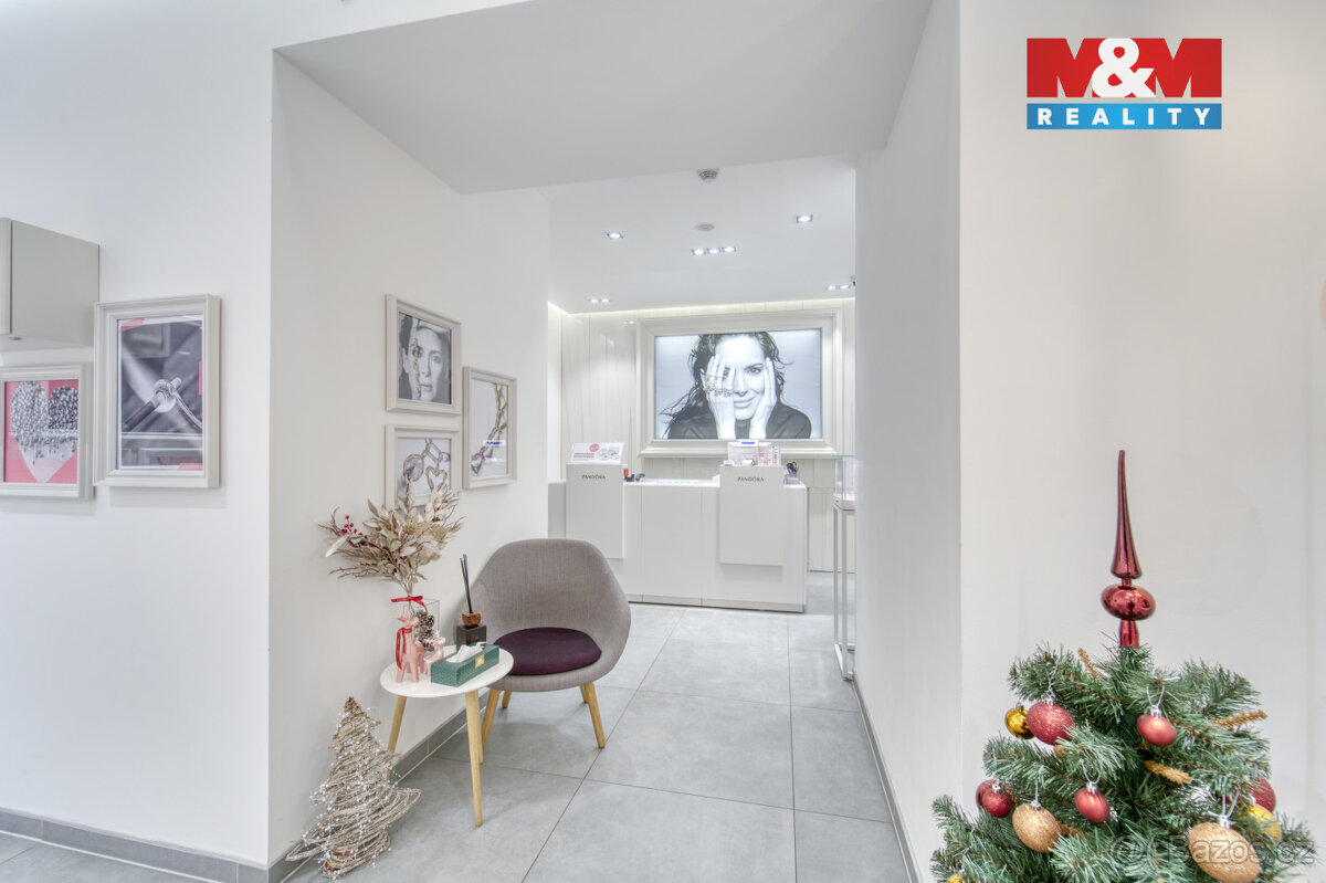 Pronájem obchod a služby, 116 m², Plzeň, ul Bedřicha Smetany - 8