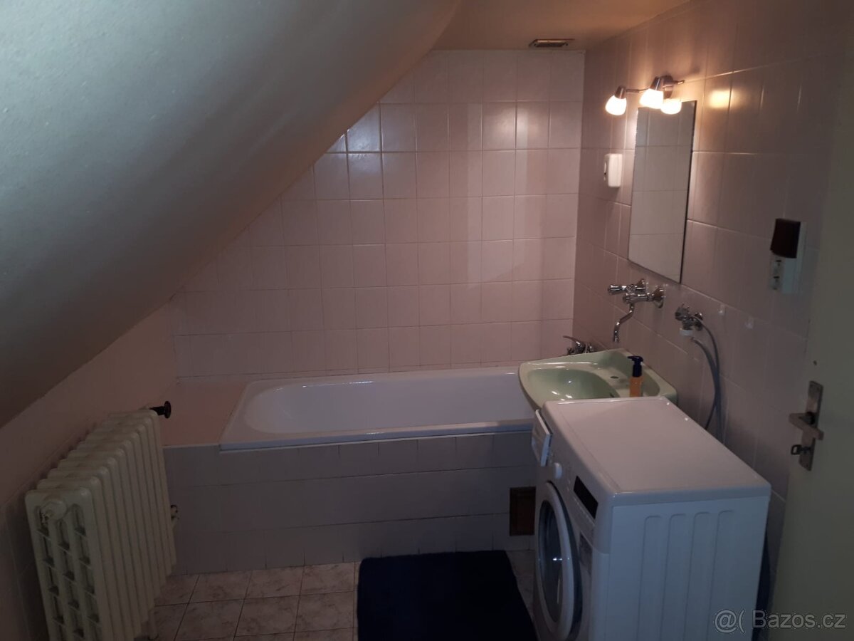 Pronajem Bytu v RD Lhotka - 8