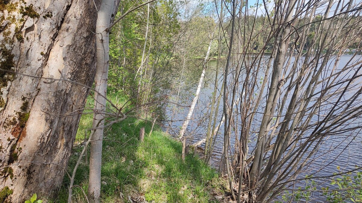 Pozemek přímo u jezera nedaleko Frymburku - 8