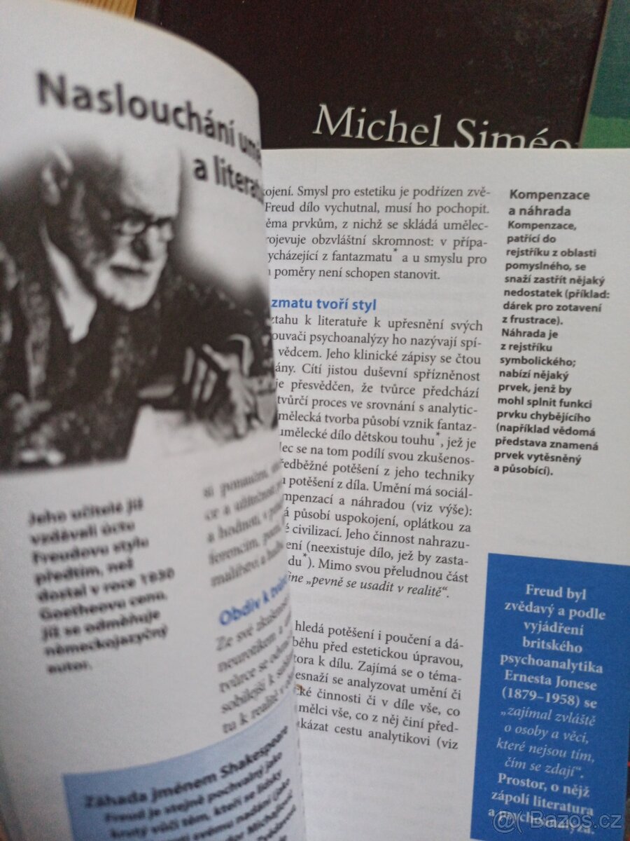 komiks Sigmund Freud Dobrodružství psychoanalýzy - 8