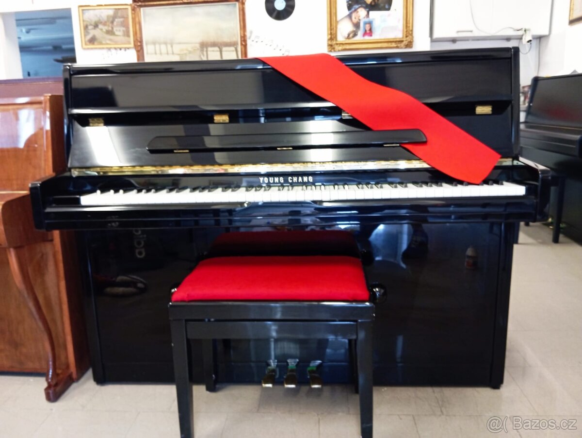 Young Chang pianino mod.112- Dovoz i na Štědrý den. - 8