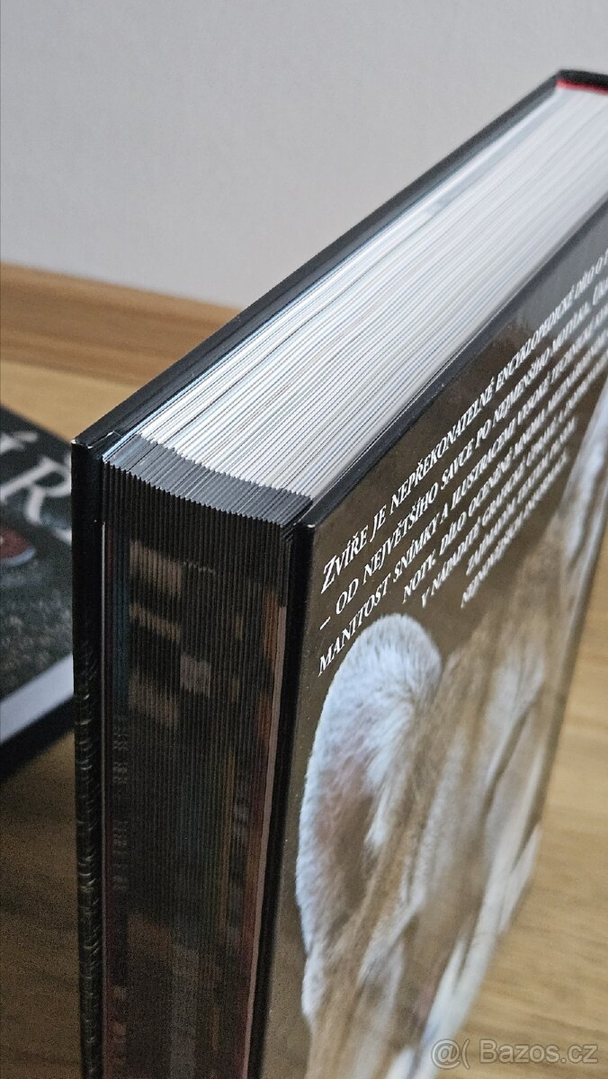 Krásná encyklopedie ZVÍŘATA, Knižní klub - 8