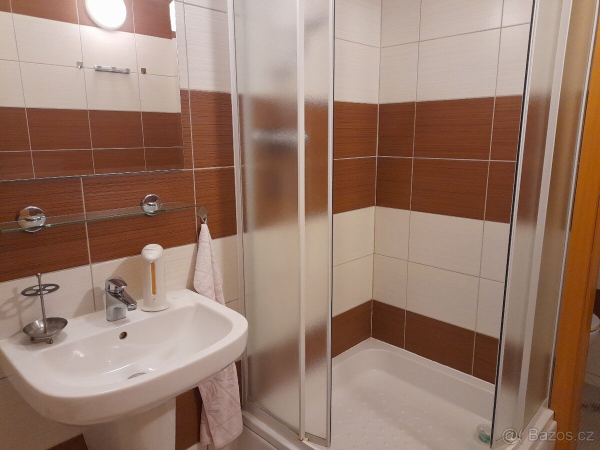 Predam apartman - 8