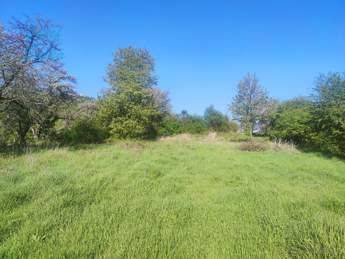 Prodej stavebního pozemku v obci Šebrov, 1956m2 - 8