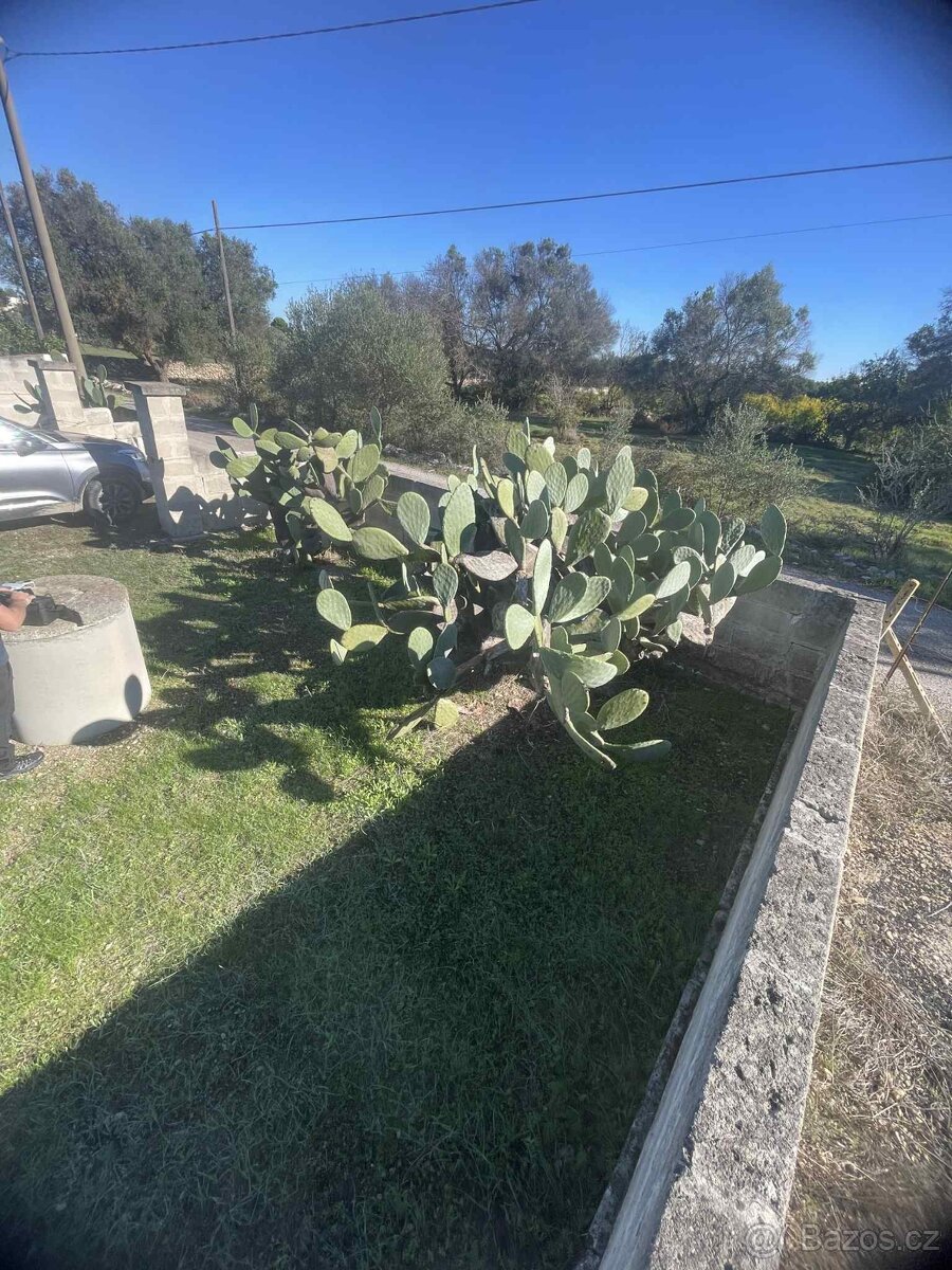 Krásný oplocený pozemek 600 m² se studnou jen 700 m od pláže - 8