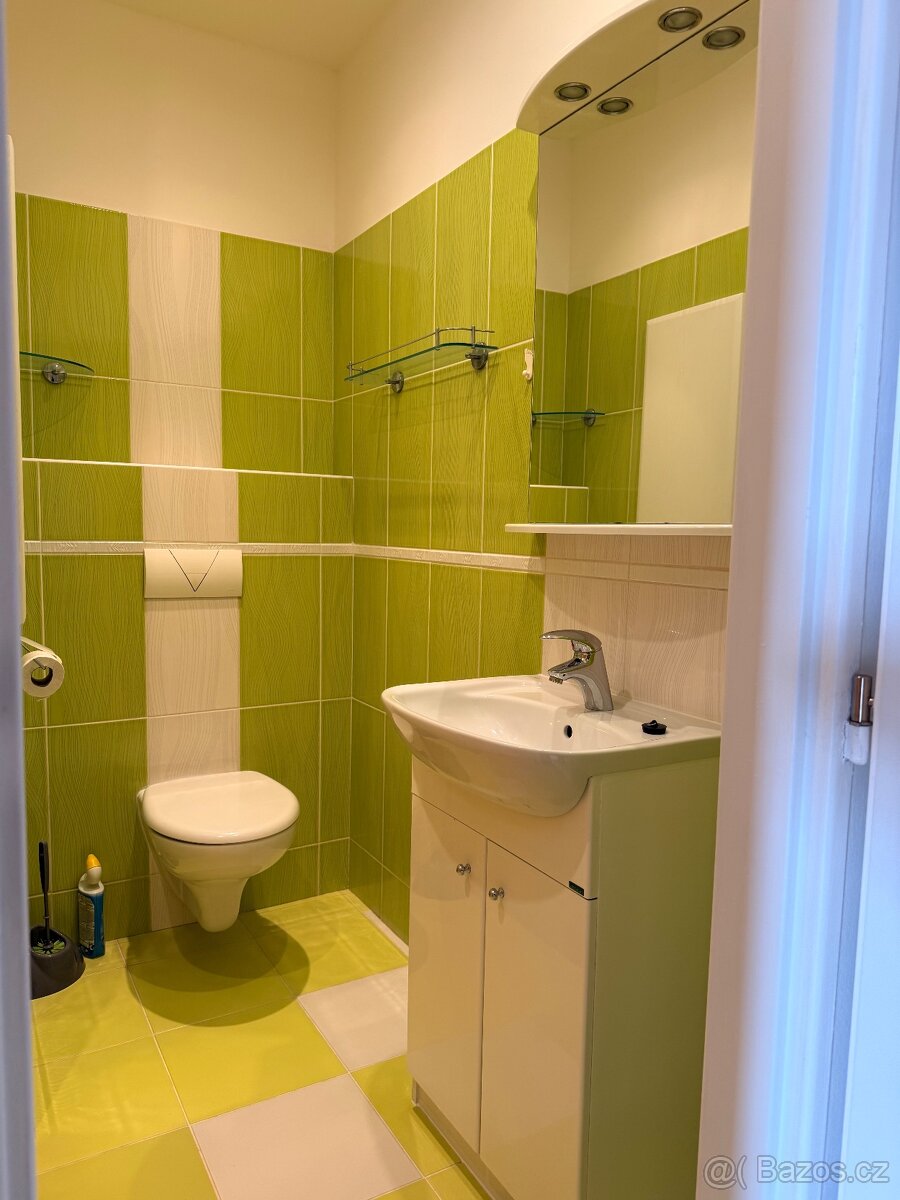 Pronájem bytu 1+1 36 m² Bratří Čapků, Svitavy - 8