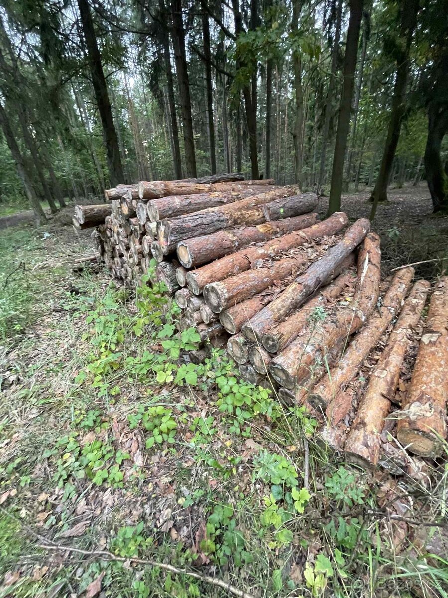 Palivové dřevo přímo pro Vás – od 900 Kč - 8