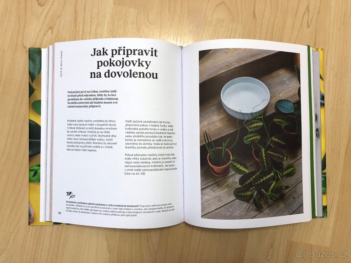 Kniha: Pokojovky a jak se o ně starat - podepsána od autorek - 8