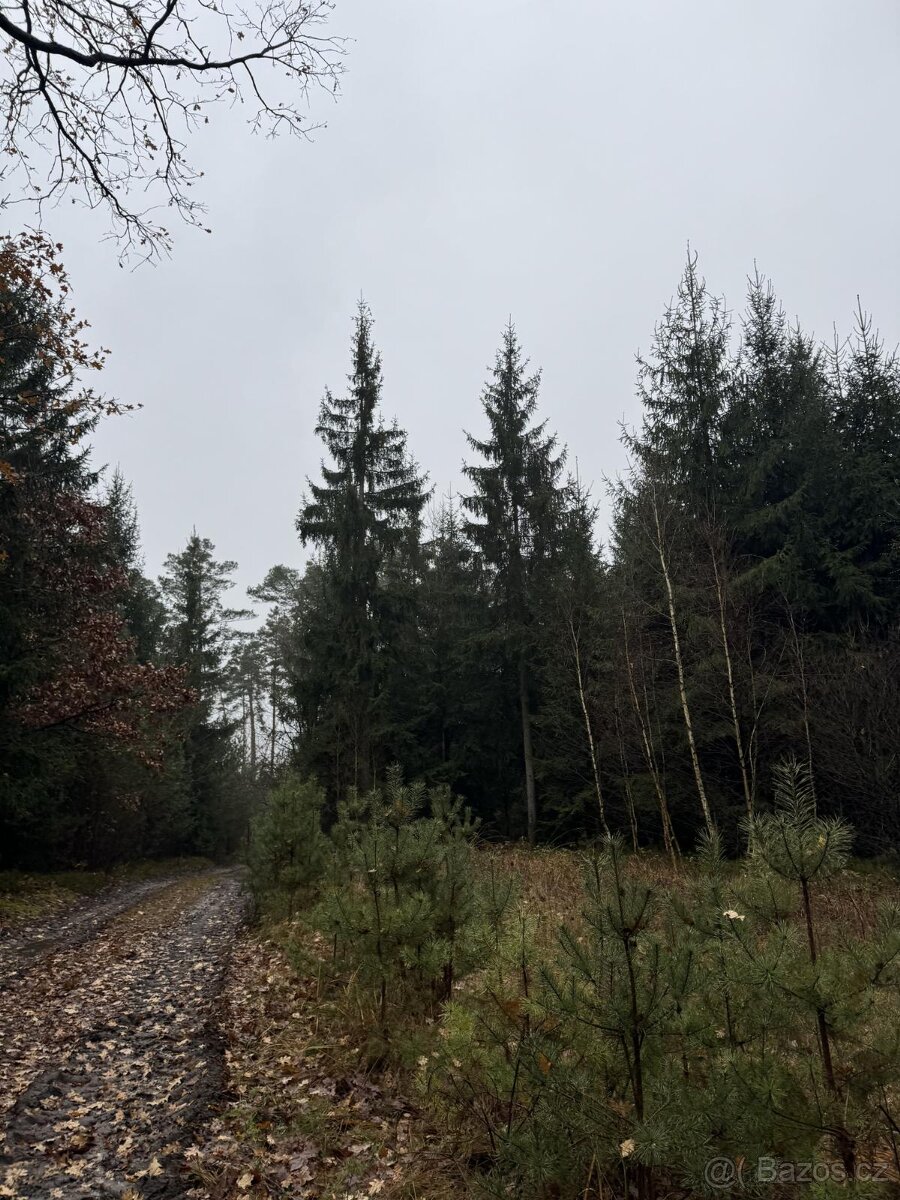 Prodám pozemky v k.ú. Veliny - 8