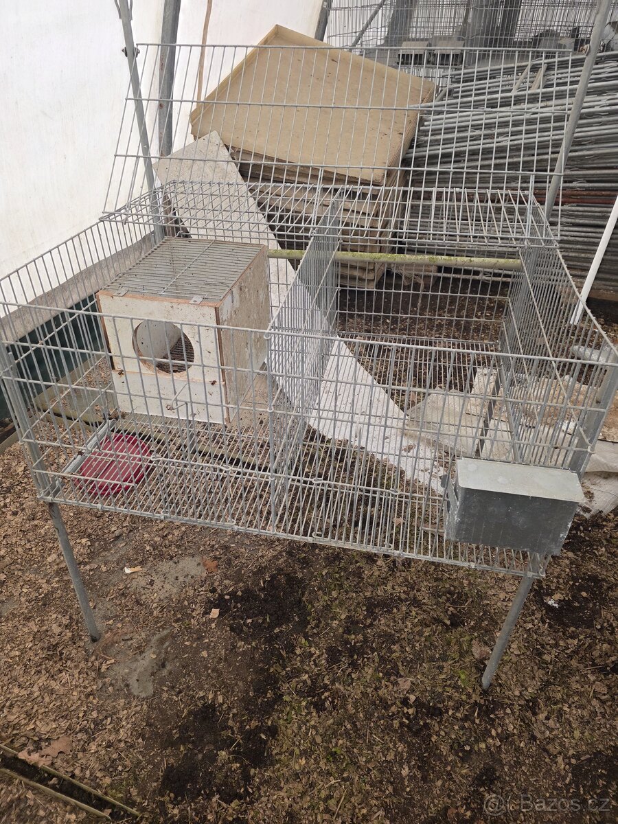 Kotce pro kraliky - 8