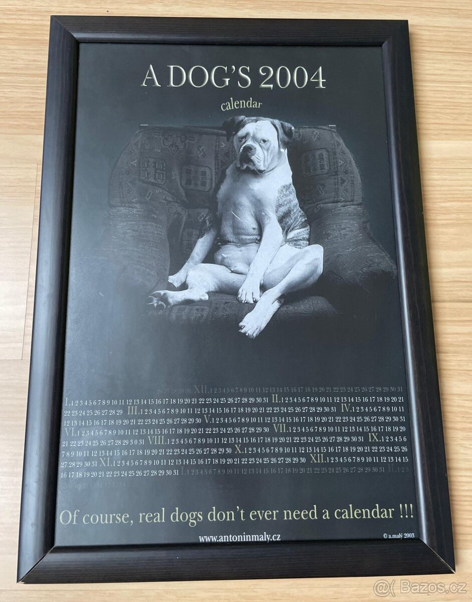 Foto Obrazy Antonín Malý s motivy psů 3 ks - 8