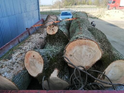 Jasanová kulatina - 8