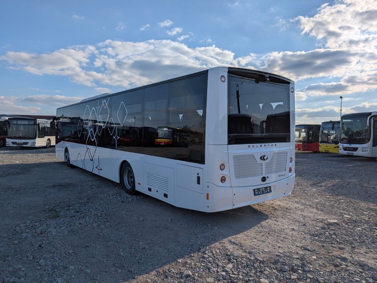 Mercedes Guleryuz Intercity - 8