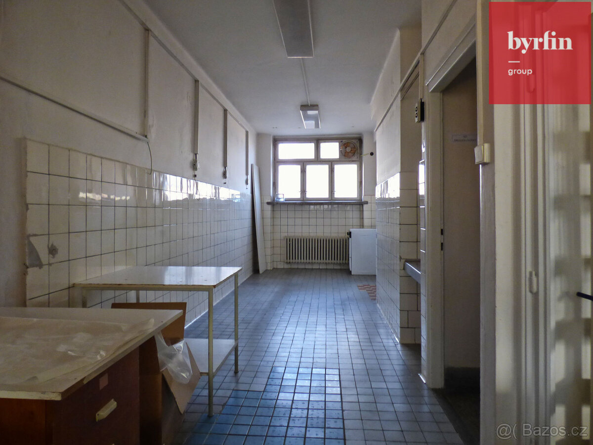 Pronájem komerčních prostor Opava - 8