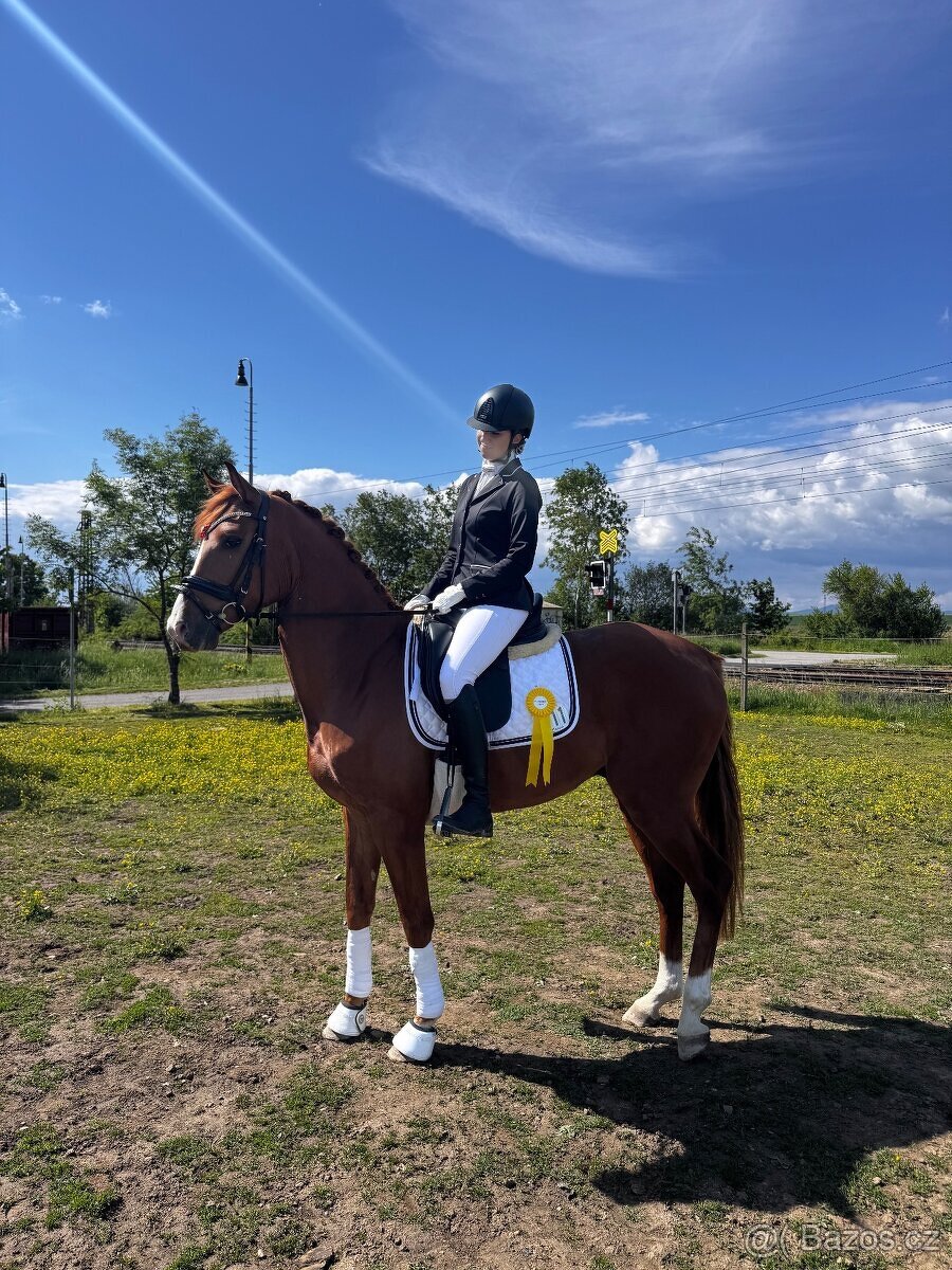 2021 TOP Valach - 8