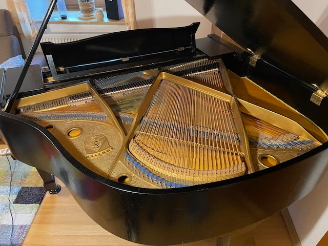 Klavír – křídlo August Förster - 8