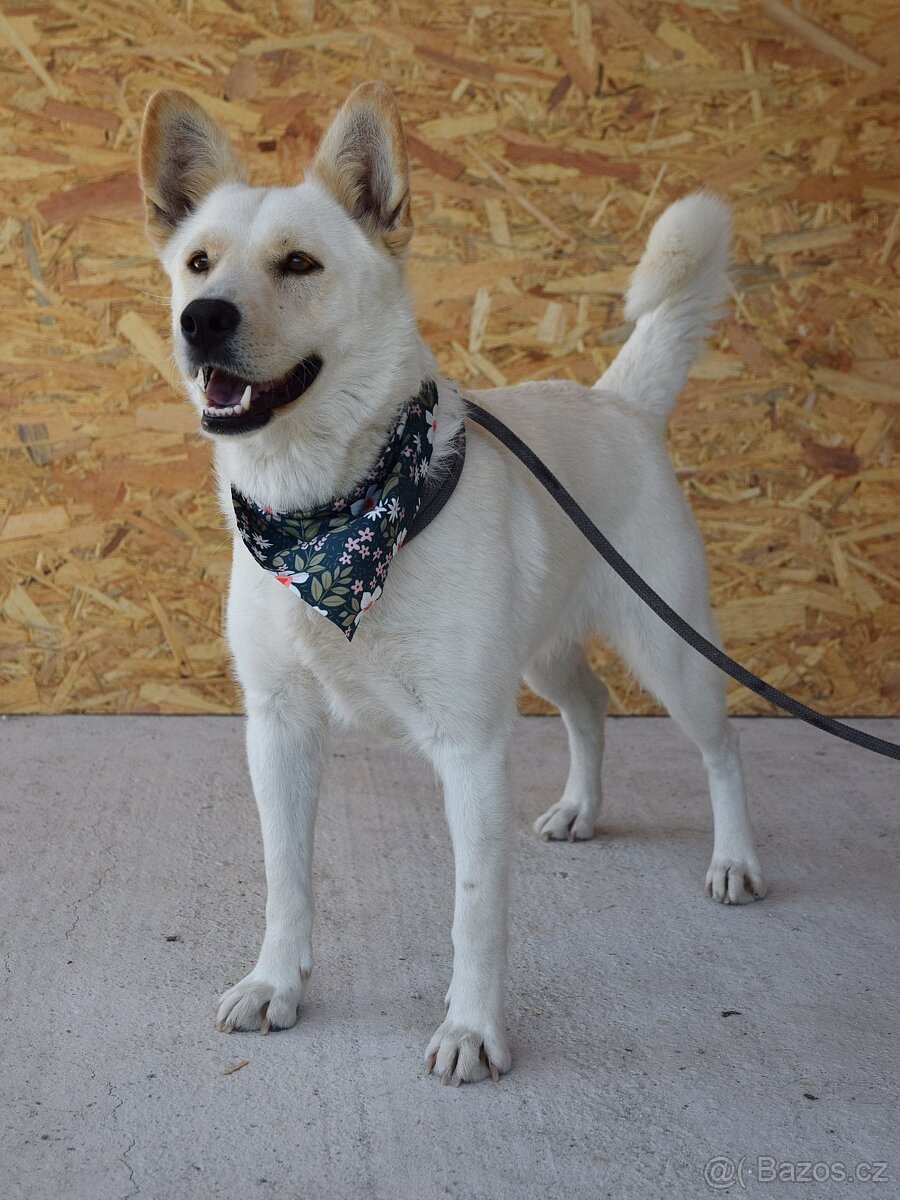 🌸 Zaira – veselá parťačka do života 🌸 - 8