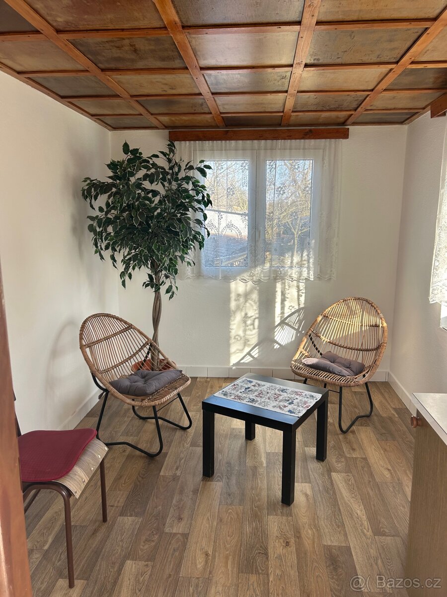 Pronájem zahrady - 8